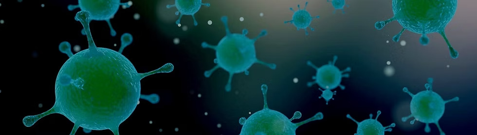 ETAPE 3 - PROCESSUS DE BIODEGRADATION